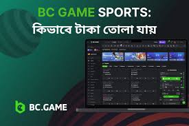 Bc game Contact Everything You Need to Know Bc game Contact Everything You Need to Know