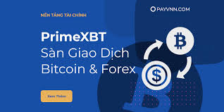 Understanding PrimeXBT Wallet Your Gateway to Crypto Trading Understanding PrimeXBT Wallet Your Gateway to Crypto Trading